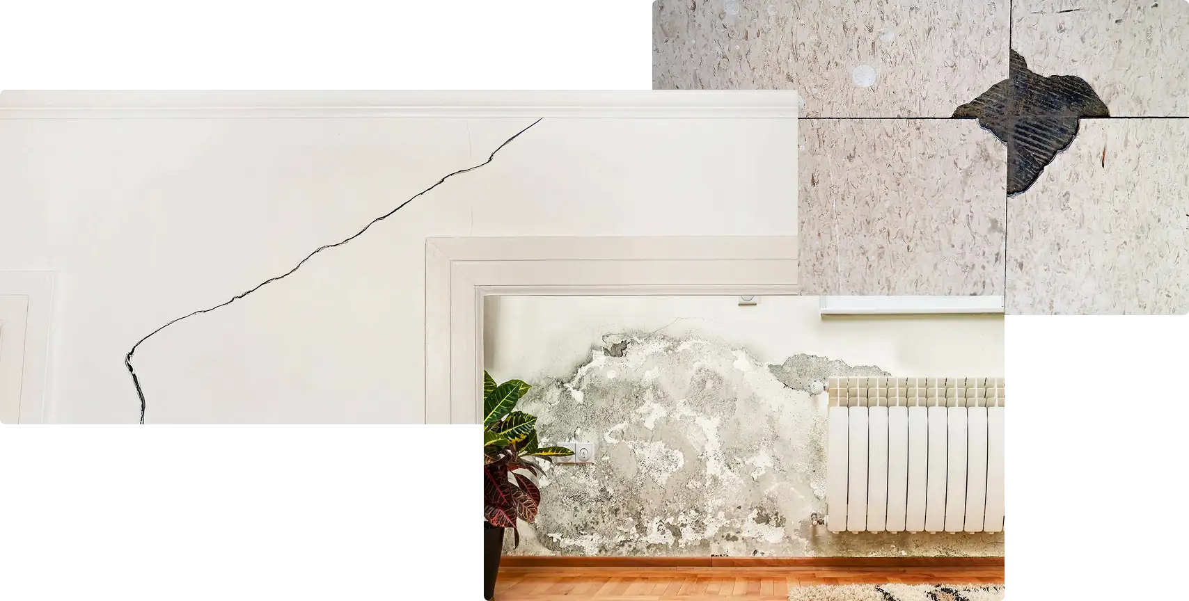 Facade damage — cracks, chips, dampness